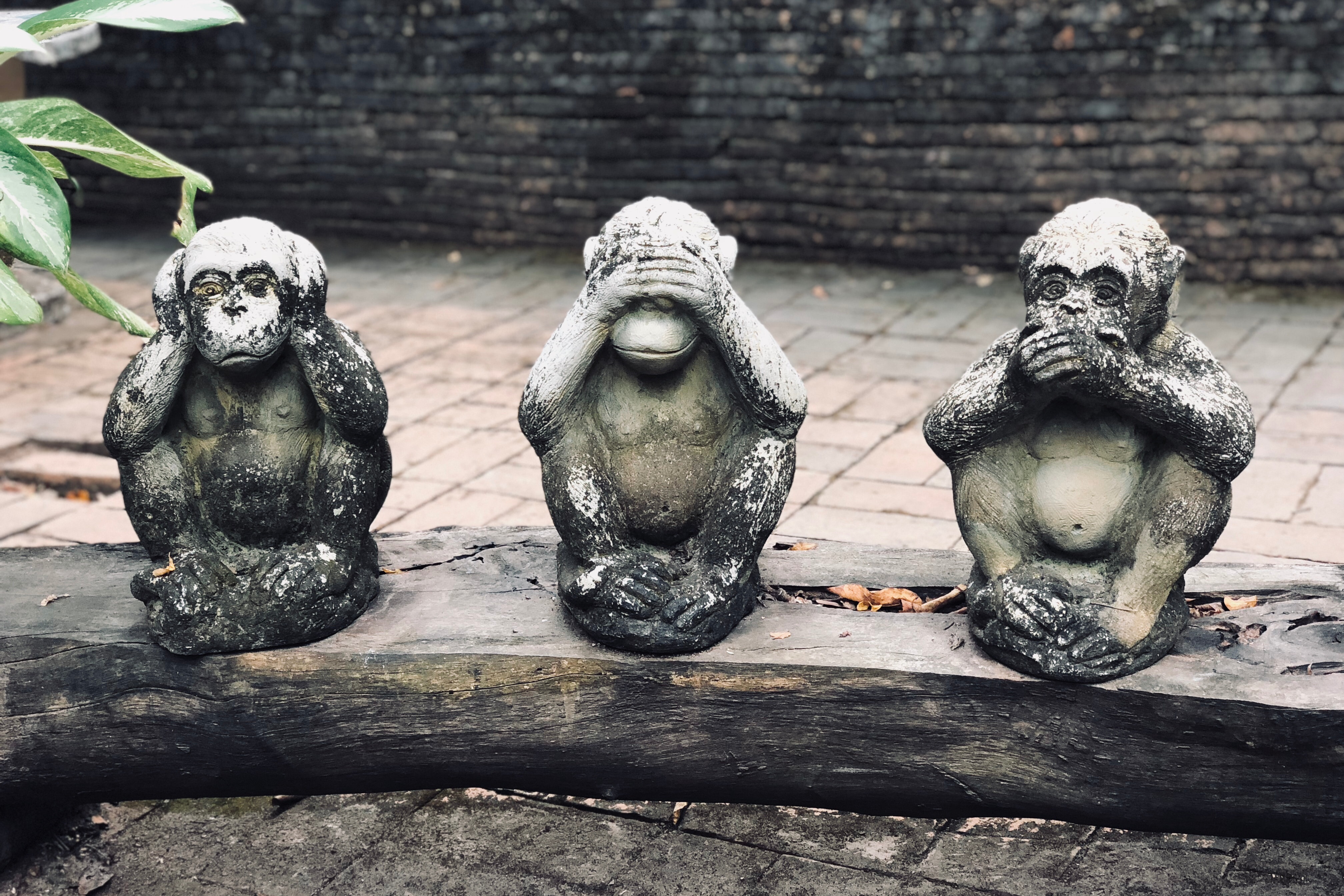 The three wise monkeys